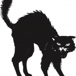 superstition-chat-noir