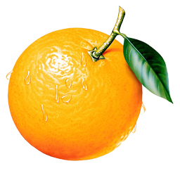 Le fruit mandarine