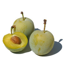 fruit-reine-claude