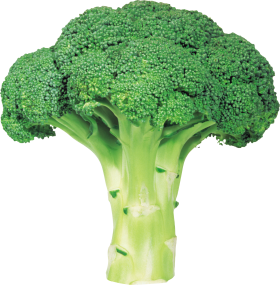 Le légume brocoli