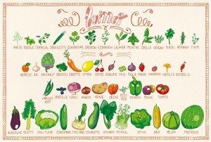 Tous les fruits et légumes du mois de juillet