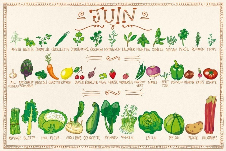 Tous les fruits et légumes du mois de Juin