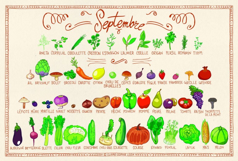 Tous les fruits et légumes du mois de Septembre
